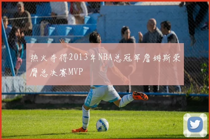 热火夺得2013年NBA总冠军詹姆斯荣膺总决赛MVP