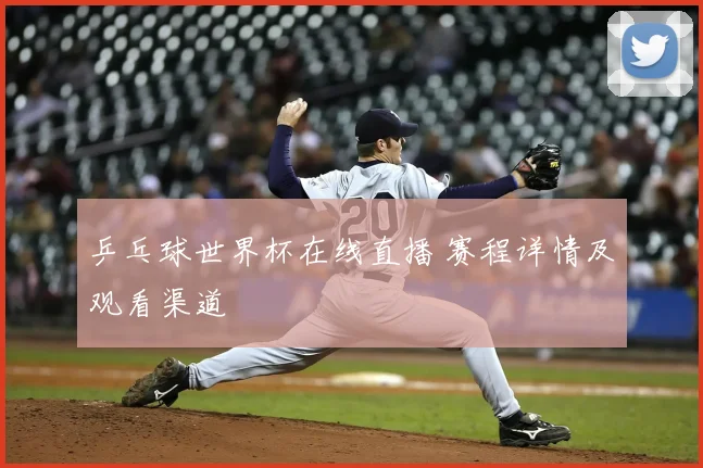 乒乓球世界杯在线直播 赛程详情及观看渠道