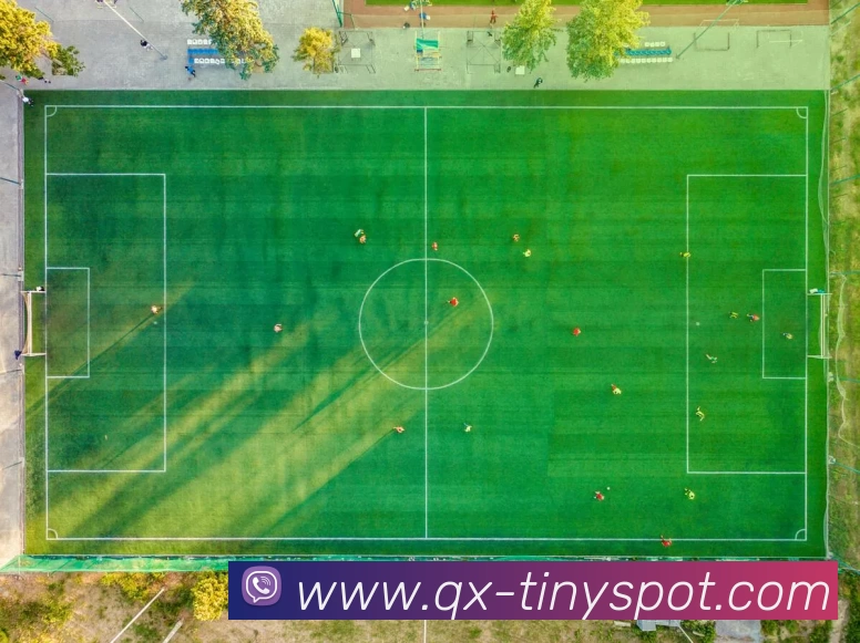 世界杯网上注册入口 - 世界杯(中国)平台生态图